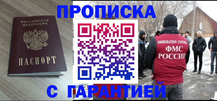 прописка 2025 в Ельне